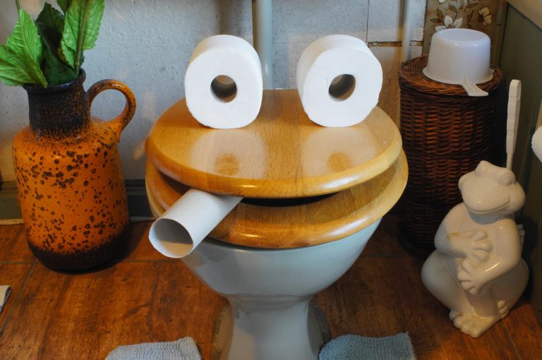toilettes bouchées